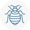 Bed Bug Extermination In Grantham